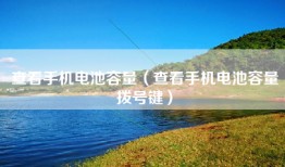 查看手机电池容量（查看手机电池容量拨号键）