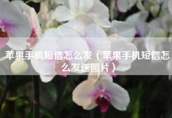 苹果手机短信怎么发（苹果手机短信怎么发送图片）