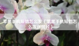 苹果手机短信怎么发（苹果手机短信怎么发送图片）