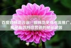 百度蜘蛛池咨询：蜘蛛池免费引流推广，揭秘高效网络营销的秘密武器