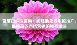 百度蜘蛛池咨询：蜘蛛池免费引流推广，揭秘高效网络营销的秘密武器