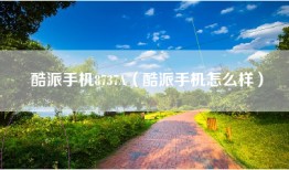 酷派手机8737A（酷派手机怎么样）