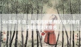 SEO实战干货：利用高权重网站借力操作关键词快速排名