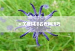 1688关键词排名查询技巧