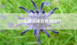 1688关键词排名查询技巧