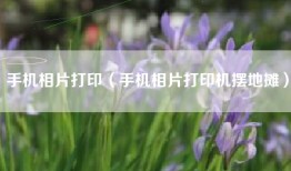 手机相片打印（手机相片打印机摆地摊）