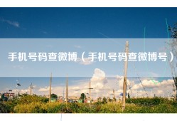 手机号码查微博（手机号码查微博号）