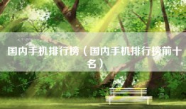 国内手机排行榜（国内手机排行榜前十名）