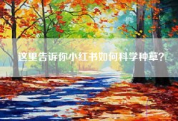 这里告诉你小红书如何科学种草？