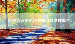 这里告诉你小红书如何科学种草？