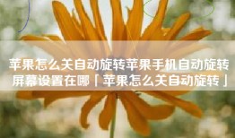 苹果怎么关自动旋转苹果手机自动旋转屏幕设置在哪「苹果怎么关自动旋转」