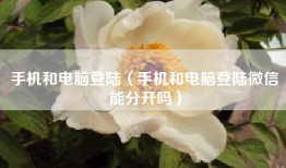 手机和电脑登陆（手机和电脑登陆微信能分开吗）