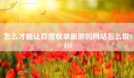 怎么才能让百度收录新做的网站怎么做SEO