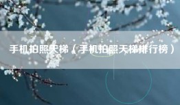 手机拍照天梯（手机拍照天梯排行榜）