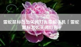 雷蛇鼠标怎么关闭灯光雷蛇手机「雷蛇鼠标怎么关闭灯光」