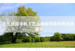 怎么追踪手机（怎么追踪手机号码位置呢）