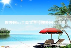 搜外网seo工具大全（搜外网seo价格）