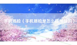 手机质检（手机质检是怎么样质检的）