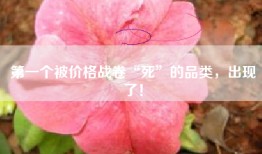第一个被价格战卷“死”的品类，出现了！