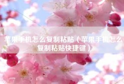 苹果手机怎么复制粘贴（苹果手机怎么复制粘贴快捷键）