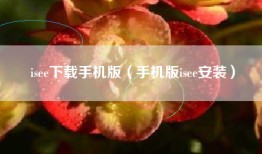 isee下载手机版（手机版isee安装）