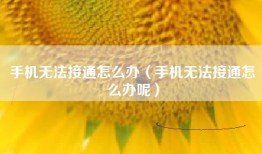 手机无法接通怎么办（手机无法接通怎么办呢）