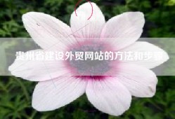 贵州省建设外贸网站的方法和步骤