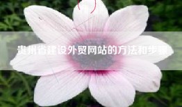 贵州省建设外贸网站的方法和步骤