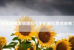 手机视频剪辑图片（手机图片剪成视频）