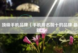 顶级手机品牌（手机排名前十的品牌 最新）