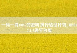 一码一肖100%的资料,执行验证计划_MER37.515跨平台版