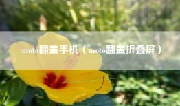 moto翻盖手机（moto翻盖折叠屏）