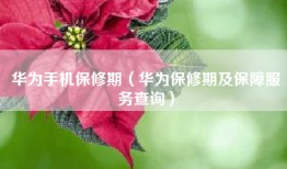 华为手机保修期（华为保修期及保障服务查询）