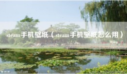 steam手机壁纸（steam手机壁纸怎么用）