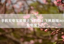 手机充电宝能带上飞机吗（飞机新规2024充电宝）