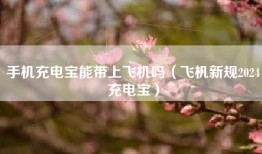 手机充电宝能带上飞机吗（飞机新规2024充电宝）