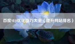 百度SEO优化技巧大全（提升网站排名）
