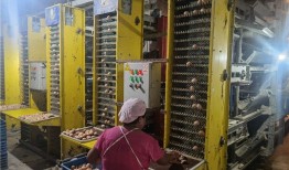 种养殖户可以用建行手机银行借信用贷款了！手机信用贷款「种养殖户可以用建行手机银行借信用贷款了！」