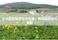 千川直投加速自然流量：揭秘高效起号策略