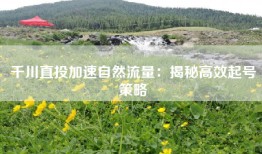 千川直投加速自然流量：揭秘高效起号策略
