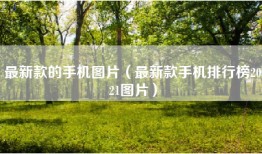最新款的手机图片（最新款手机排行榜2021图片）