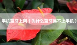 手机蓝牙上网（为什么蓝牙连不上手机）