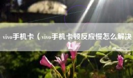 vivo手机卡（vivo手机卡顿反应慢怎么解决）