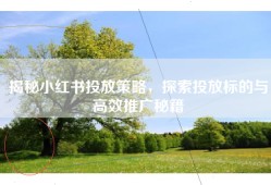 揭秘小红书投放策略，探索投放标的与高效推广秘籍
