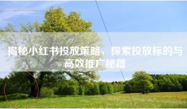 揭秘小红书投放策略，探索投放标的与高效推广秘籍