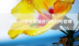 飞鸽CRM系统如何进行防封号管理