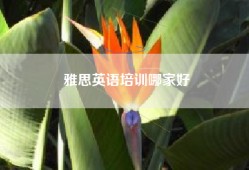 雅思英语培训哪家好
