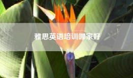 雅思英语培训哪家好