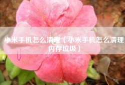 小米手机怎么清理（小米手机怎么清理内存垃圾）
