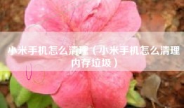小米手机怎么清理（小米手机怎么清理内存垃圾）